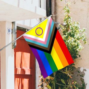 Progress Pride Flag, Perfect For Showing Your Pride Community Flag, Happy Pride Month Flag