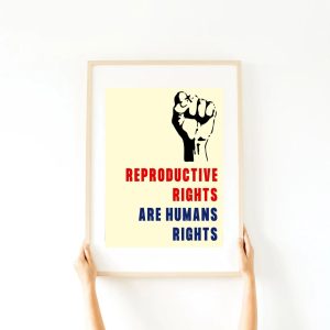 Pro choice sign Reproductive rights are human rights poster