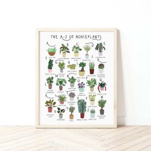A Z of Houseplants Plant poster House Plants print Alphabet Print