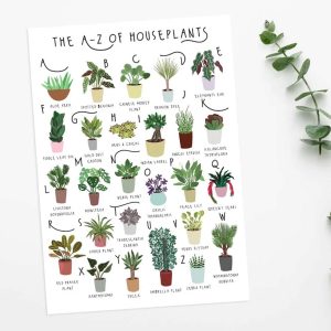 A Z of Houseplants Plant poster House Plants