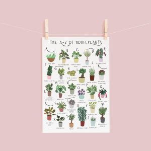 A Z of Houseplants Plant poster