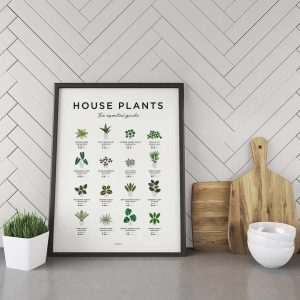 House Plants Print Plant Poster Houseplants Print Plant Art Poster