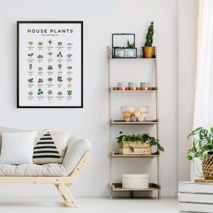 House Plants Print Plant Poster Houseplants Print