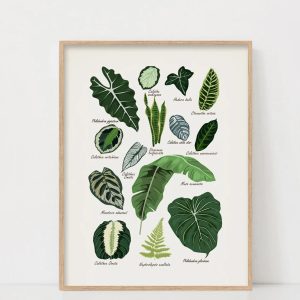 House Plants Print Plant Poster Printable Wall Art