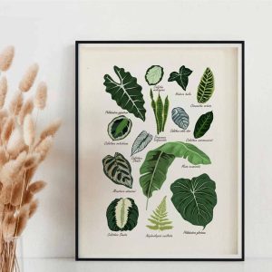 House Plants Print