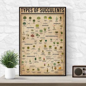 Types Of Succulents Poster