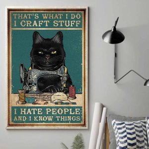Thats What I Craft Stuff I Hate People And I Know Things Poster