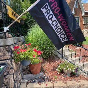 Pro Women Pro Choice 3