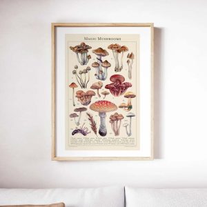 Magic Mushrooms Botanical Poster