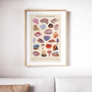 Medicinal Mushrooms Botanical Art Poster