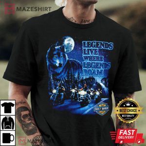 Vintage 1991 Harley Davidson T Shirt