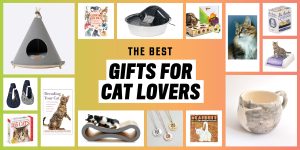 gifts for cat lovers 1