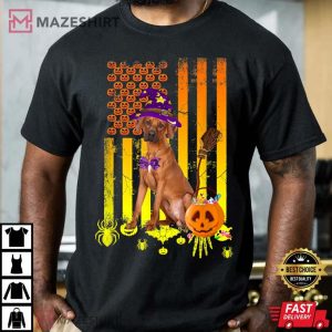 Rhodesian Ridgeback Pumpkin American Flag Halloween Dog 4