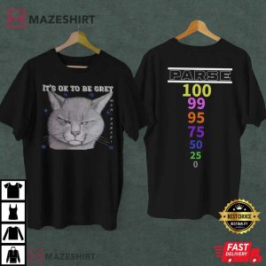 Cat Gaming Parse Its Ok To Be Grey T Shirt 1