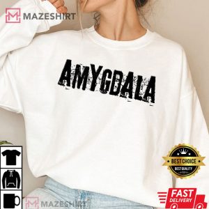 Amygdala Agust D Suga Merch T Shirt 2