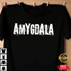 Amygdala Agust D Suga Merch T Shirt 4