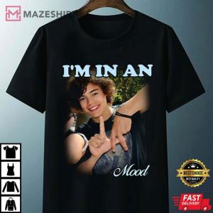 I'm In An LA Mood Harry Styles T Shirt