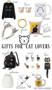 best gift for cat lovers