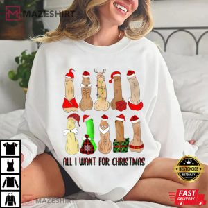 All I Want For Christmas Sex Joke T Shirt (2)