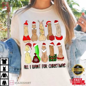 All I Want For Christmas Sex Joke T Shirt (3)