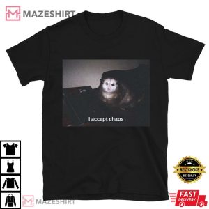 I Accept Chaos Possum T Shirt (1)