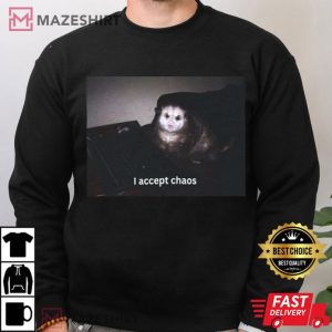 I Accept Chaos Possum T Shirt (4)