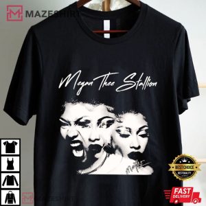 Megan Thee Stallion Vintage 90s Gift For Fans T Shirt (4)