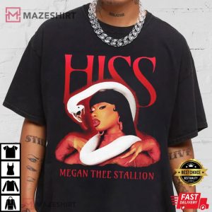 Megan Thee Stallion Hiss Vintage 90s T Shirt (3)