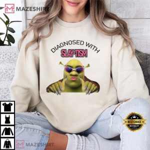Diagnosed with Slay Tism Shrek T Shirt (1)
