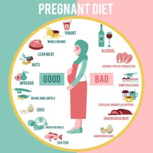 pregnancy food plan