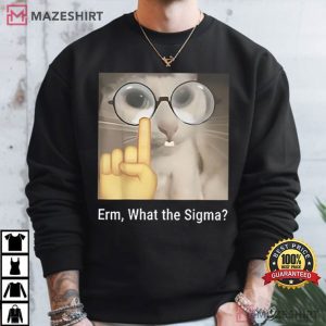 Erm What The Sigma Funny Meme T Shirt (2)
