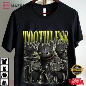 Toothless And Light Fury How To Train Your Dragon Comfort Colors T Shirt (1)