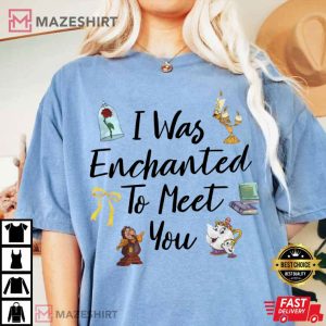 I Was Enchanted To Meet You Magical Swiftie Bachelorette T Shirt (1)
