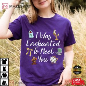 I Was Enchanted To Meet You Magical Swiftie Bachelorette T-Shirt