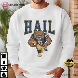 Hail Michigan Wolverines University Football Vintage T Shirt (3)
