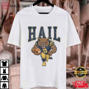 Hail Michigan Wolverines University Football Vintage T Shirt (4)
