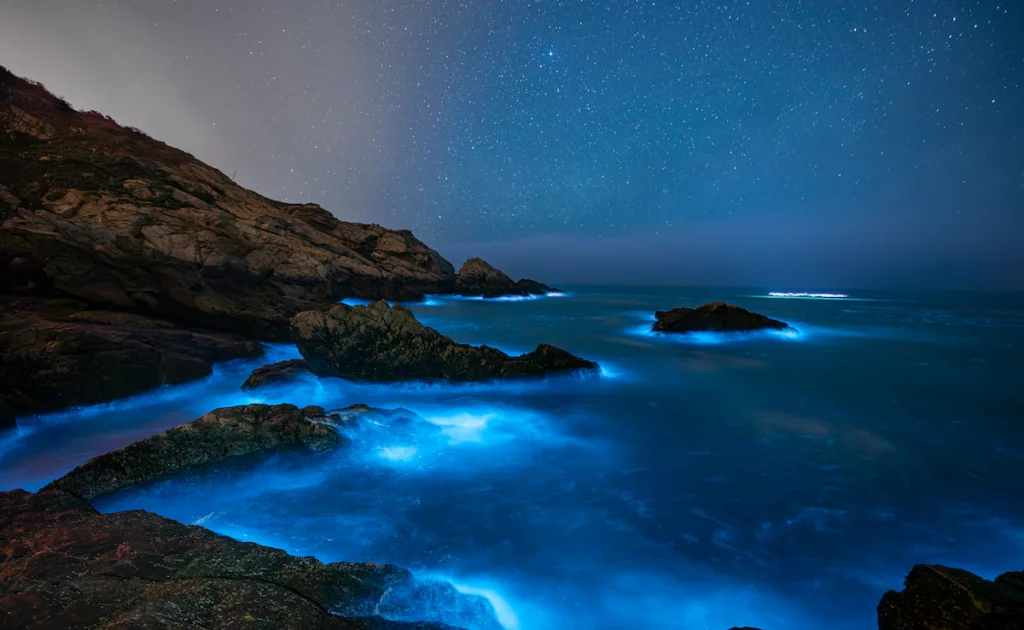 hawaiian themed t shirts