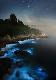 hawaiian themed t shirts