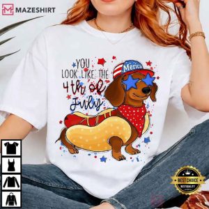 Dachshund Independence Day 4th Of July Hot Dog Funny Wiener Dog T (1)