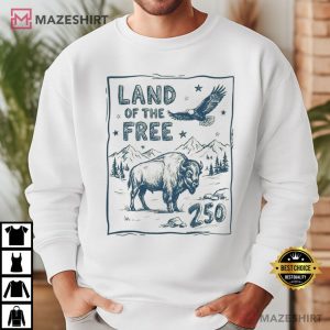 Land Of The Free USA 250 Vintage America 4th Of July T Shirt (2)