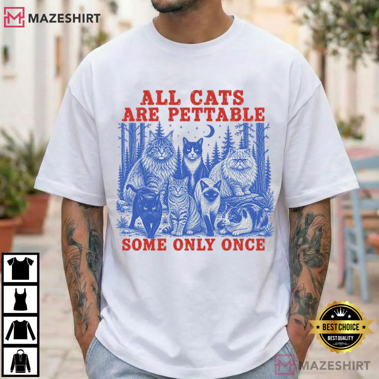 Cat Lover All Cats Are Pettable Some Only Once Funny Cat T-Shirt Cat Lover All Cats Are Pettable Some Only Once Funny Cat T-Shirt