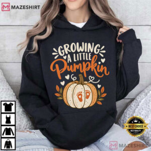 Pregnancy Announcement Growing A Little Pumpkin Fall Maternity T Shirt (4)